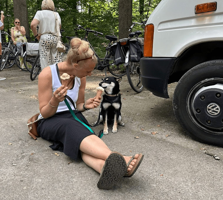 Nancy Daponte American Triumph Kennel ervaren Shiba Inu fokker