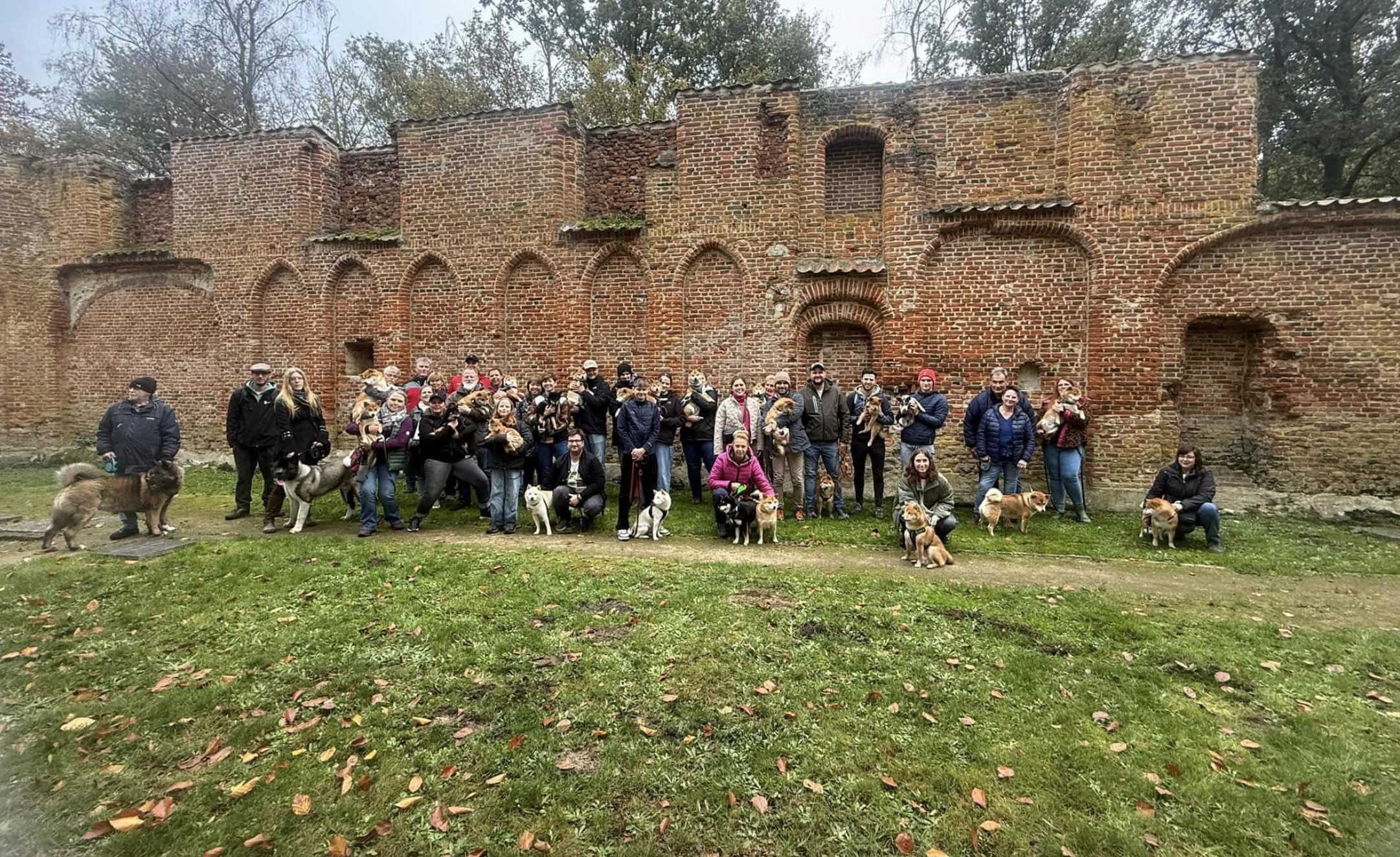 Grote groep Shiba Inu eigenaren en honden tijdens de jaarlijkse American Triumph wandeling