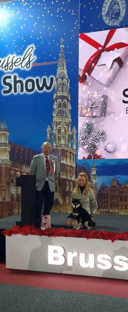 Eigenaar American Triumph presenteert een rode Shiba Inu eerste plaats brussels dagshow 