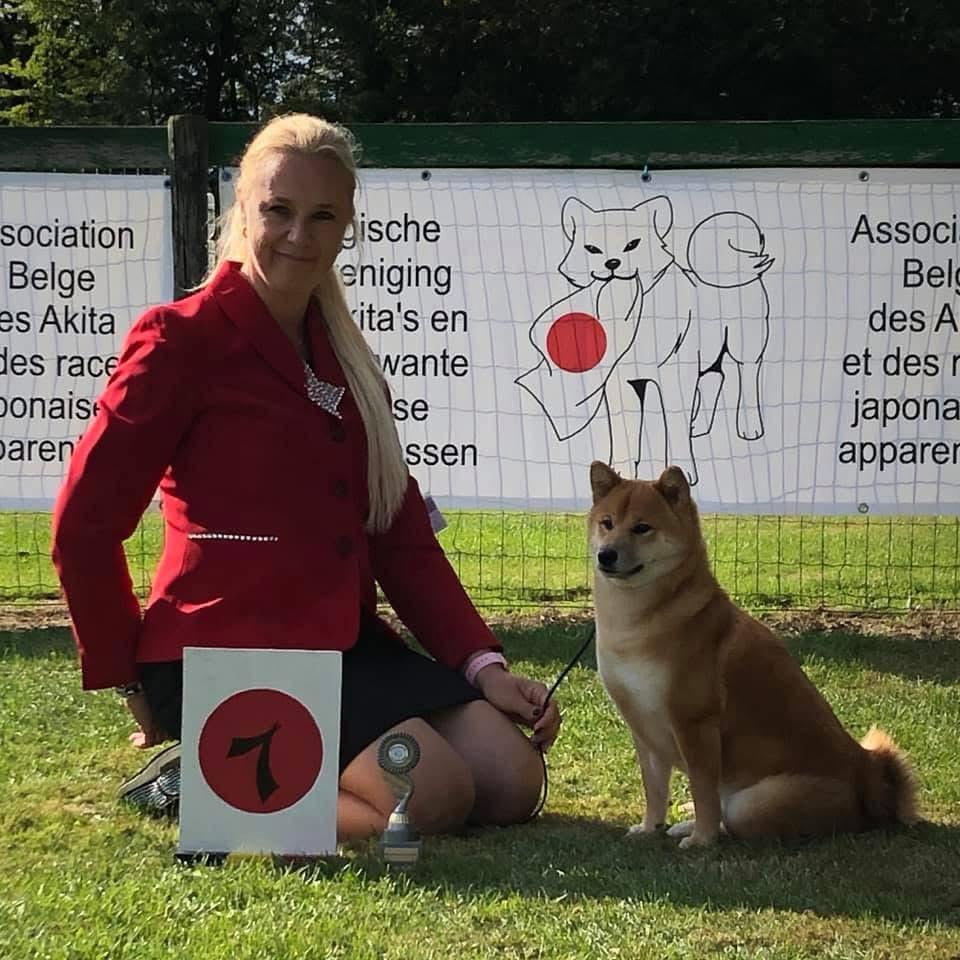 Eigenaar American Triumph presenteert een rode Shiba Inu i1ste plaats hondenshow