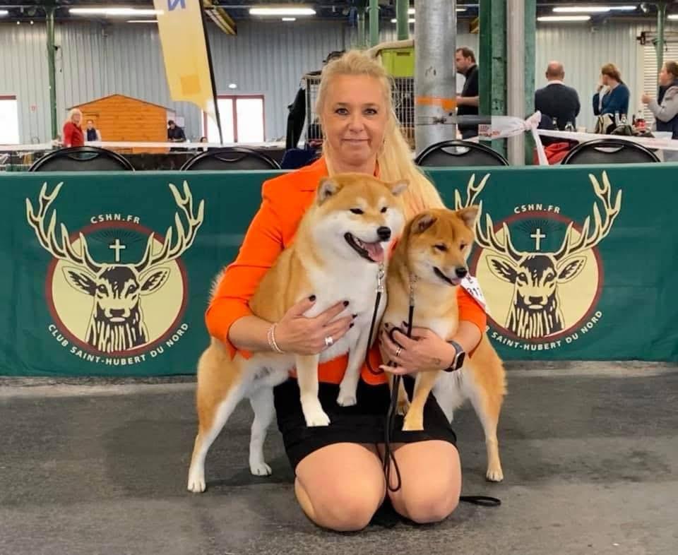 Eigenaar American Triumph presenteert een rode Shiba's Inu tijdens een hondenshow