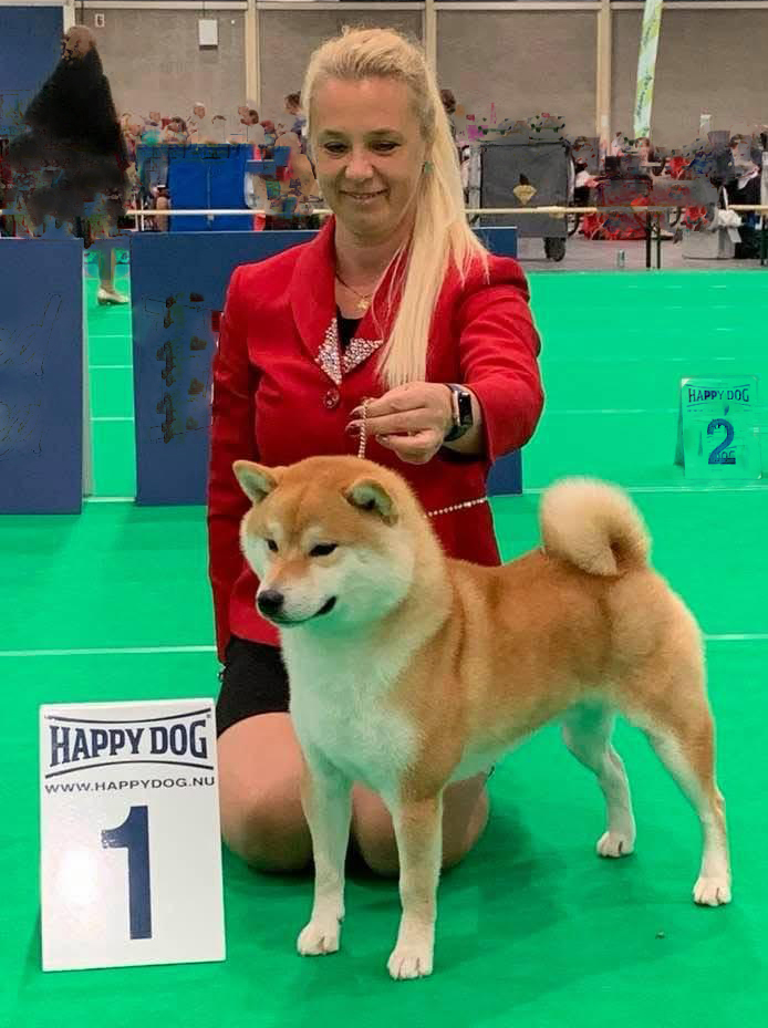Shiba Inu First place