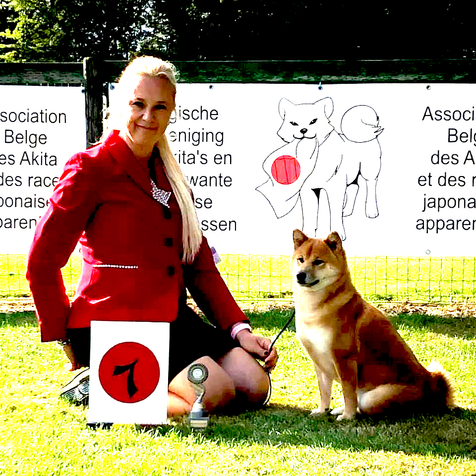 Shiba inu dog show First place